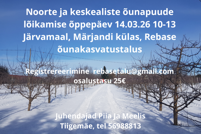 õunapuude lõikamise õppepäev õppepäev